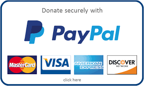 Paypal button